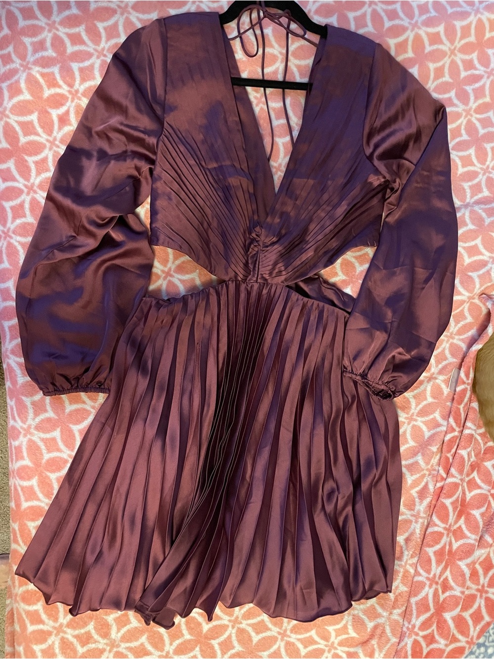 Abercrombie and Fitch V-Neck Long Sleeve Pleated Mini Dress in Plum